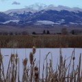 Exploring Vocational and Technical Education Opportunities in Adams County, Colorado