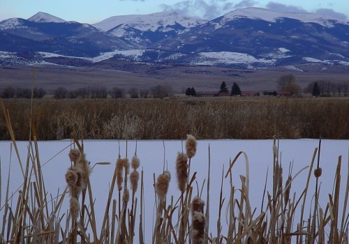 Exploring Vocational and Technical Education Opportunities in Adams County, Colorado